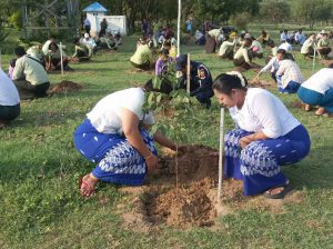 2023 Rainy Tree Planting Festival